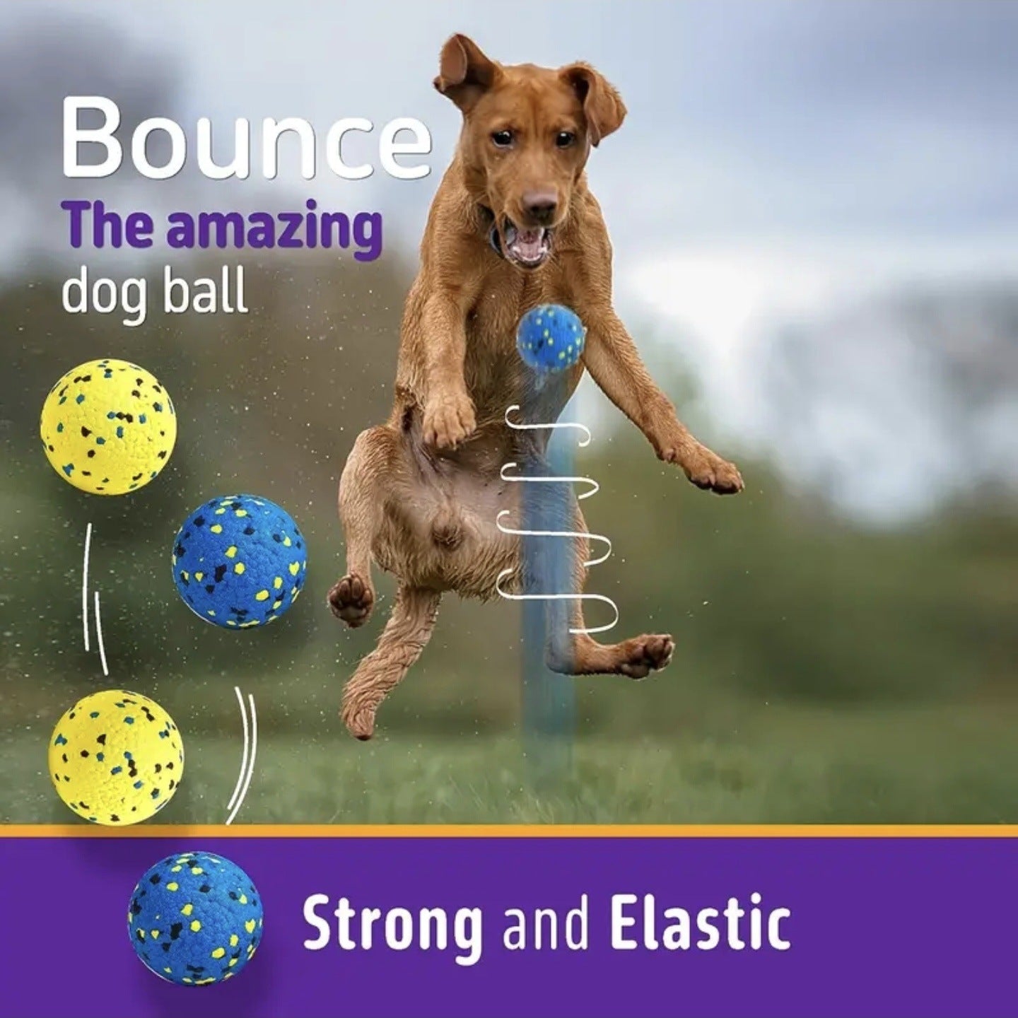 Pet Toy Ball High Elasticity Chewing Ball